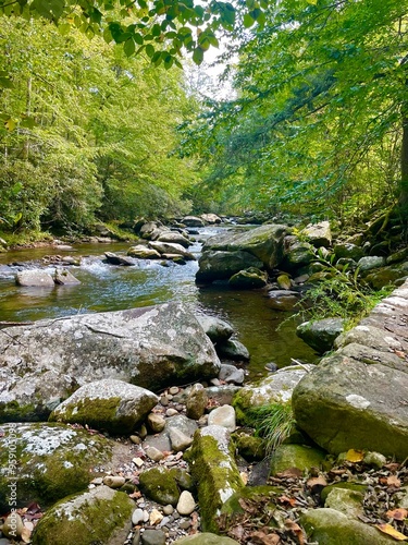 Water Landscape