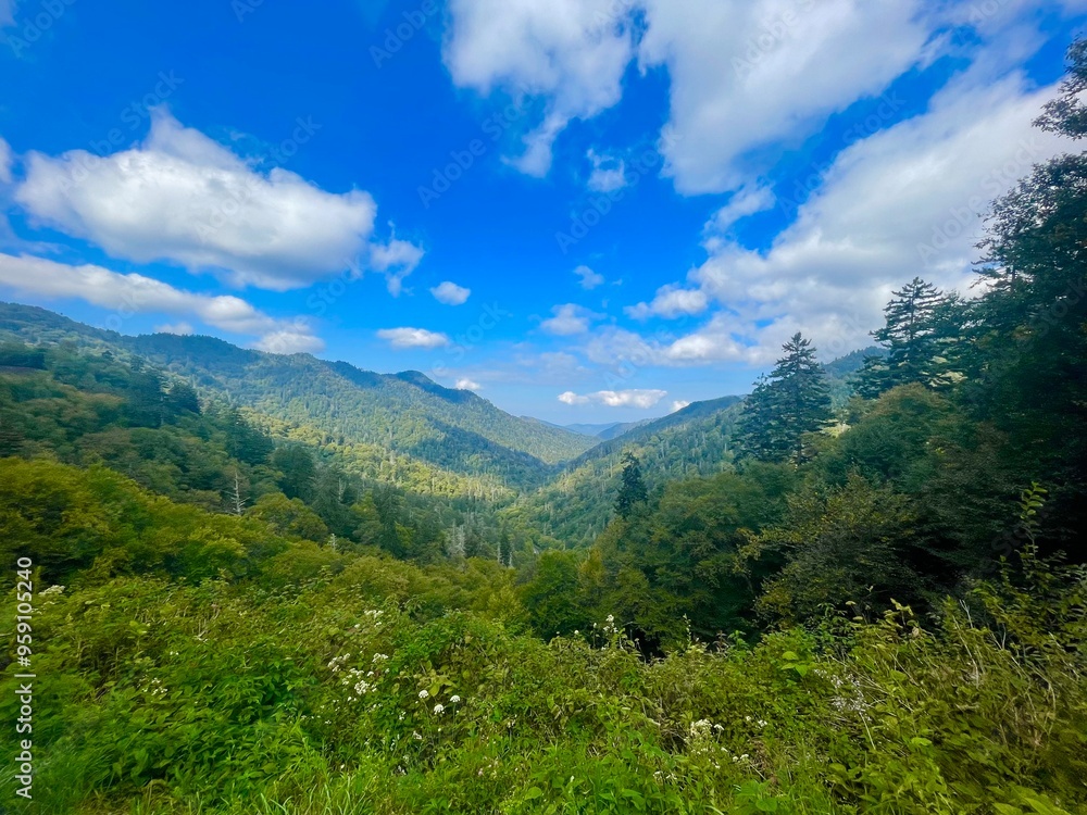 Landscape Landscape