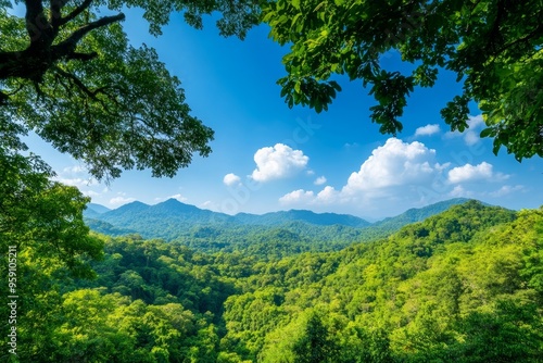 A panoramic landscape view showcasing lush green forested mountains extending into the horizon, with a clear blue sky adorned with fluffy white clouds, and a vibrant green canopy of trees in the foreg photo