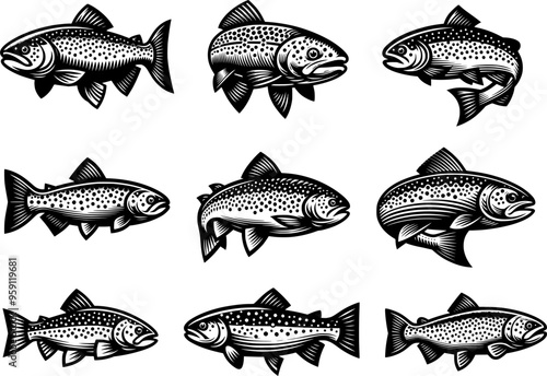 trout fish set