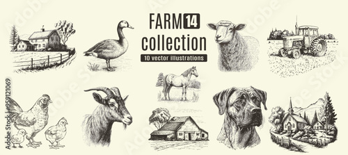Farm animals, cows, rural houses. Hand drawn set.