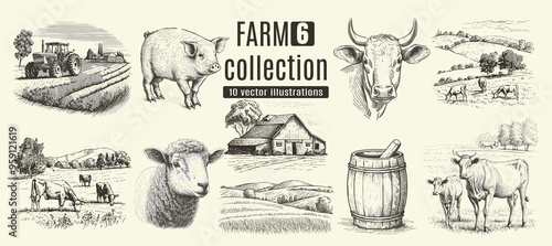 Rural meadow or countryside farm set. A village landscape with cows, goats and lamb, hills and a farm.