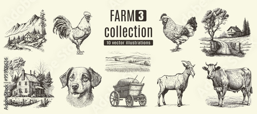 Rural meadow or countryside farm set. A village landscape with cows, goats and lamb, hills and a farm.