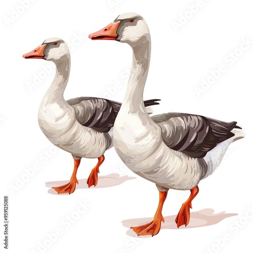 Geese Light element animal cartoon isolated whitebackground 16:9