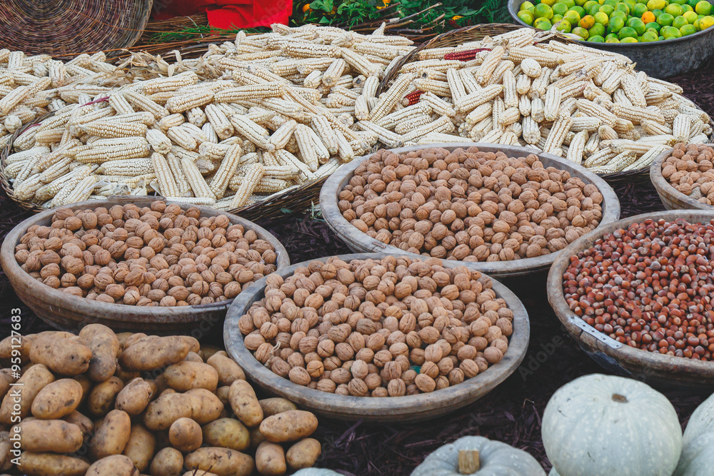 Obraz premium large containers with walnuts and hazelnuts, corn, pumpkins and potatoes outdoors, harvest concept, close up