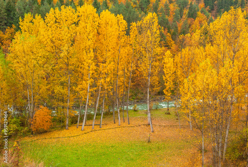 Autumn Season in the Savsat Villages Photo, Şavşat Artvin, Turkiye (Turkey) photo