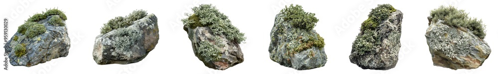 Overgrown lichen on rock isolated on transparent background, set of Overgrown lichen on rock isolated on transparent background, set of