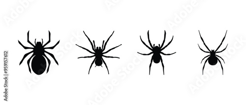 Set of spiders silhouette from biggest to smaller. Tarantula, black widow spiders vector icon.