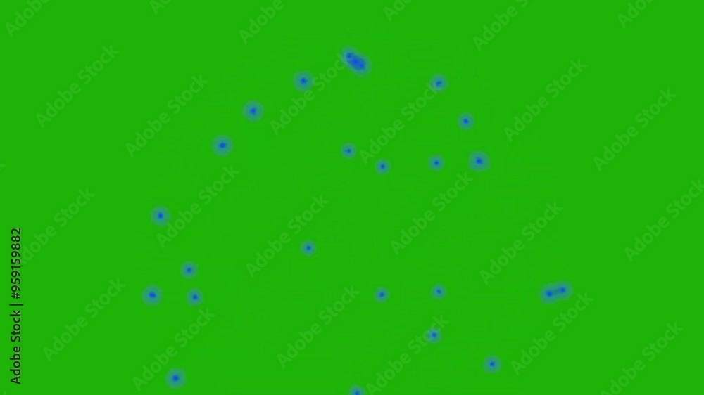 Fireworks Green Screen Effects Animation 4k Video Fireworks Green Screen Effects Animation 4k Video