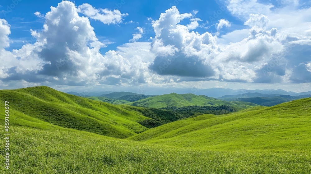 Rolling green hills beneath a bright blue sky with white clouds, symbolizing peace and natural beauty. Rolling green hills beneath a bright blue sky with white clouds, symbolizing peace and natural beauty.