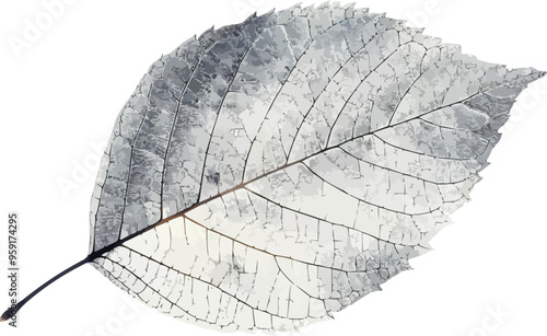 A linear vector of a leaf.