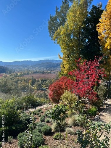 wine country mountain views