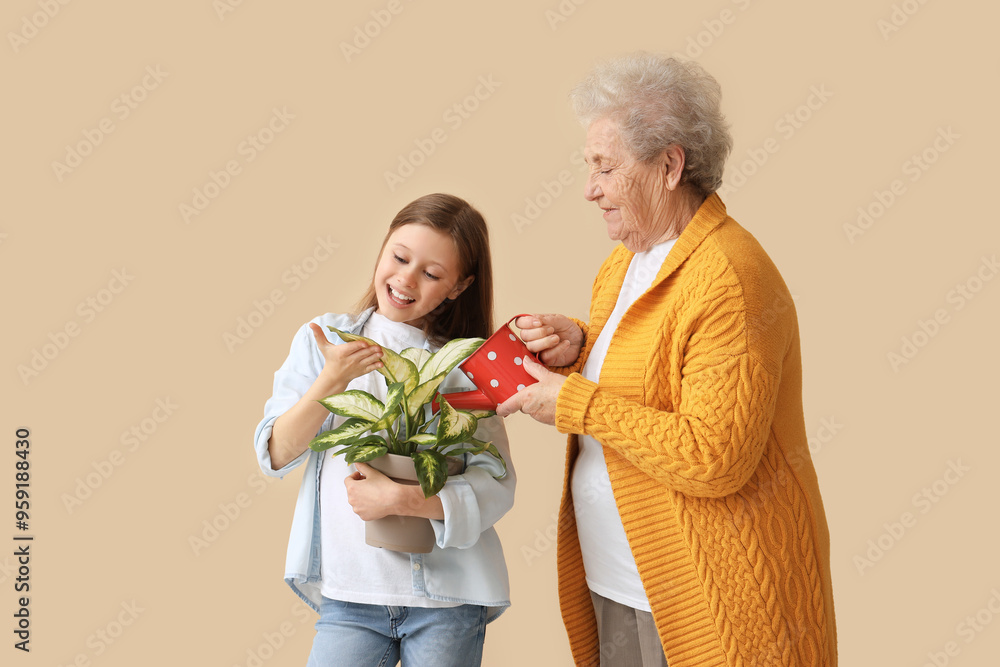 Little girl with her grandmother watering houseplant on beige background Little girl with her grandmother watering houseplant on beige background