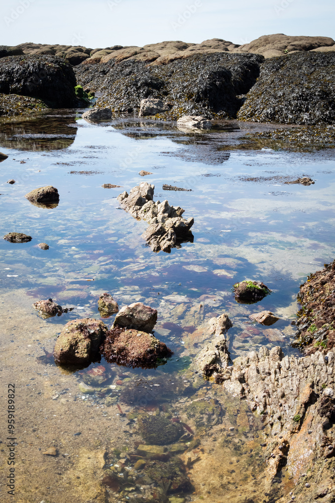 Obraz premium Coast of La Turballe in Brittany - France