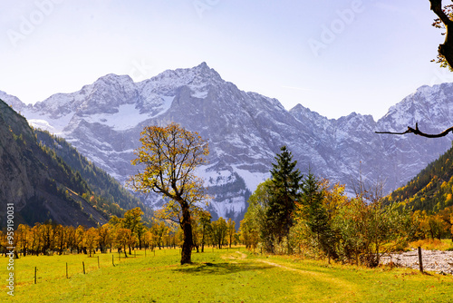 Autumn colored maple trees at Ahornboden in the austrian alps with high mountain Lackenkarkopf and Kuhkopf in der Eng photo