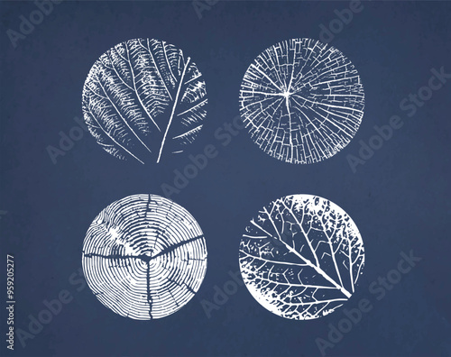 Modern tree rings pattern and leaf art overlaying dark midnight blue texture. White outlines of botanical species of tree and leaves.