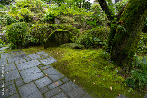 A corner of a traditional garden with Japanese aesthetics, featuring a paved pathway and moss-covered stones surrounded by a carpet of moss and green plants under tree shade. a tranquil atmosphere. photo