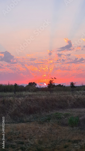 Coucher de soleil dans le Sud de la France (Hérault) photo