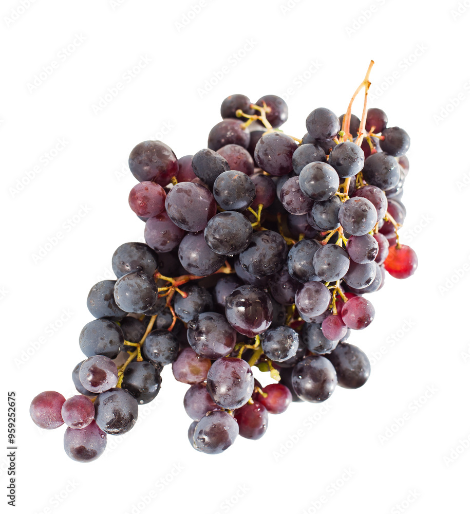 bunch of black grapes PNG, grapes isolated on white transparent background bunch of black grapes PNG, grapes isolated on white transparent background