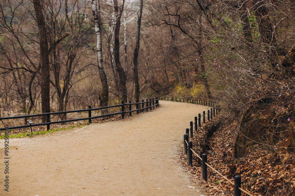 Bukhansan National Park, Seoul, Gyeonggi-do, South Korea, spring landscape view during hike to Baegundae summit peak, process of trekking and climbing to Bukhan mountain, travel and hiking in Korea