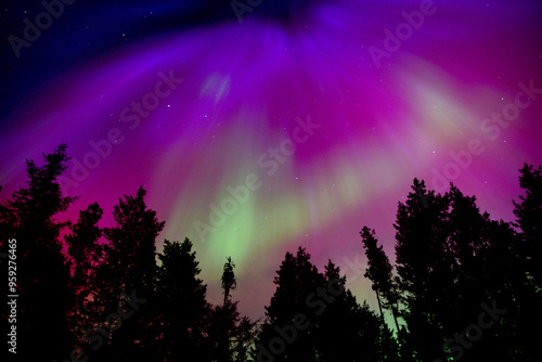 Amazing Purple Pink and Green Aurora Borealis
