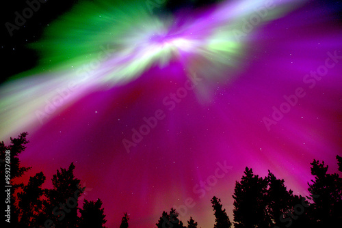 Spectacular Green and Pink Aurora Borealis Display of Northern Lights