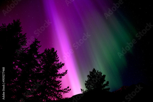 Northern Lights Aurora Borealis Pink and Green