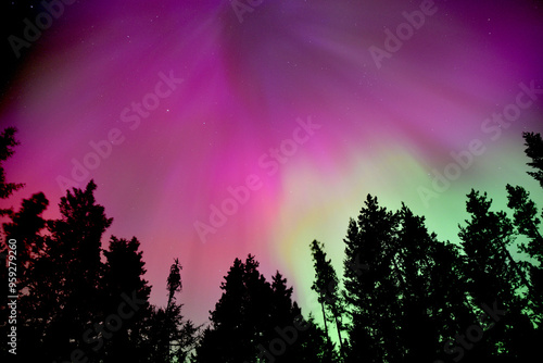 Brilliant Pink and Green Aurora with silhouette