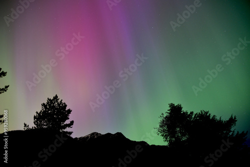 Pink Purple and Green Aurora Borealis with mountain and trees