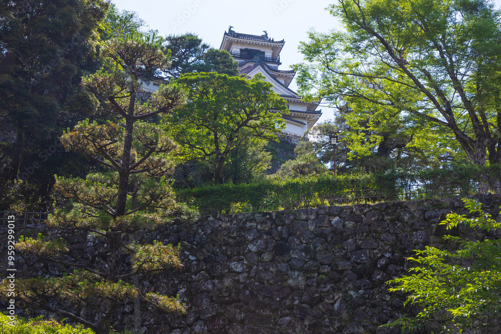 日本の風景・夏 日本100名城 高知城 日本の風景・夏 日本100名城 高知城
