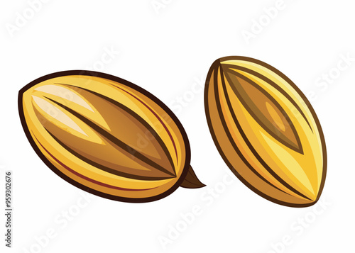 Sunflower Seed, isolated on white background, full depth of field.eps