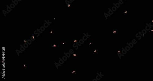 4k falling Yellow maple Leaves Autumn black background, 3D leaf falling animation on alpha matte, Autumn leaves transition animation