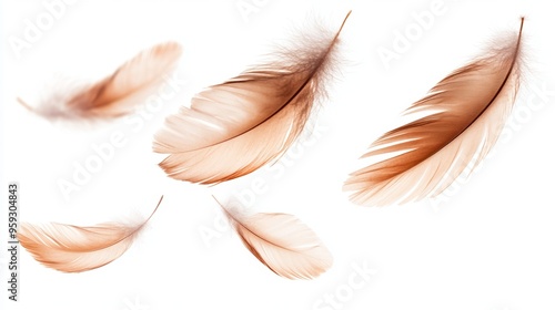 Floating Feathers:  A serene and delicate arrangement of five soft, brown feathers, gracefully suspended in mid-air against a clean white background. The feathers seem to dance with an ethereal lightn photo