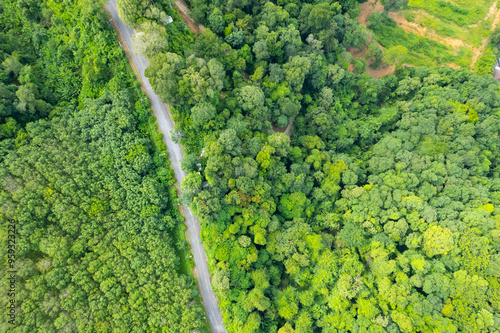 Aerial view Tropical Rainforest trees mountains,Top view green forest background