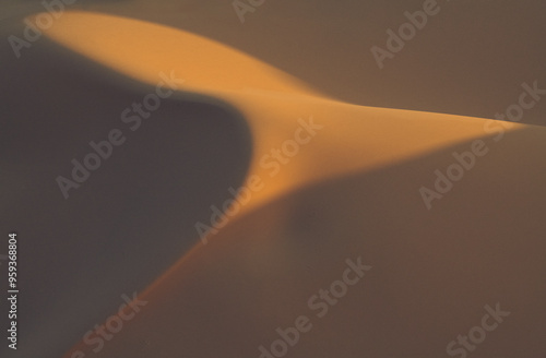 Africa, Erg Chebbi, Morocco. Desert dune contrast. 