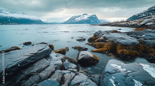 Black rocky coast in a bay in the Ullsfjord Laksvelbukt Tromsoe Norway Europe : Generative AI photo