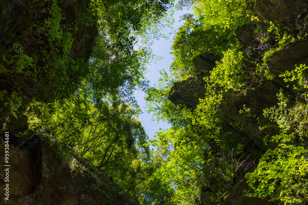 日本の風景・夏　高知　中津渓谷（仁淀ブルー）