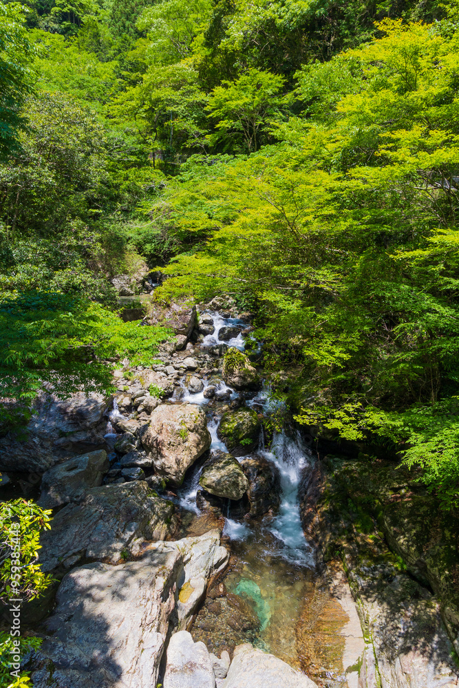 日本の風景・夏 高知 中津渓谷(仁淀ブルー) 日本の風景・夏 高知 中津渓谷(仁淀ブルー)