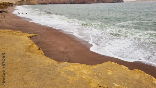 Desert reserve ocean beach Peru