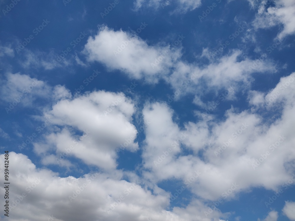 Obraz premium 東京のそら(24.9.5)