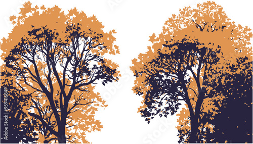 autumn tree silhouette
