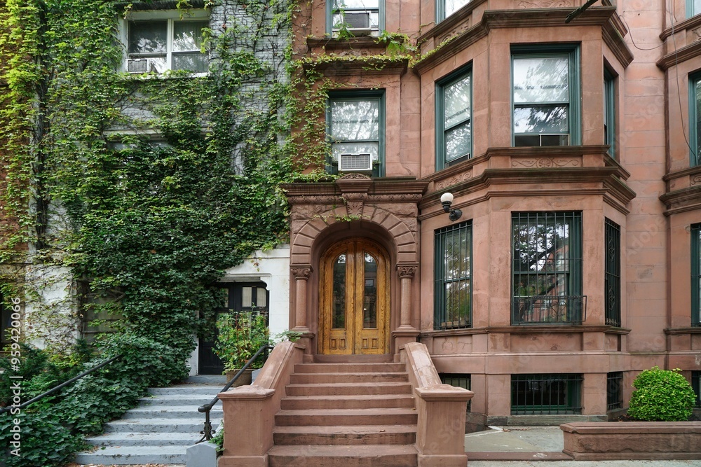 Φωτογραφία New York City, row of old townhouses with vines
