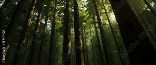 Tall trees with slender trunks and green leaves