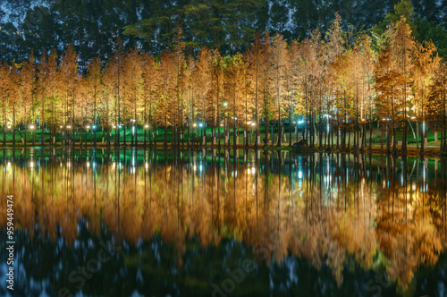 Night view of red foliage of larch by the lake in City Park