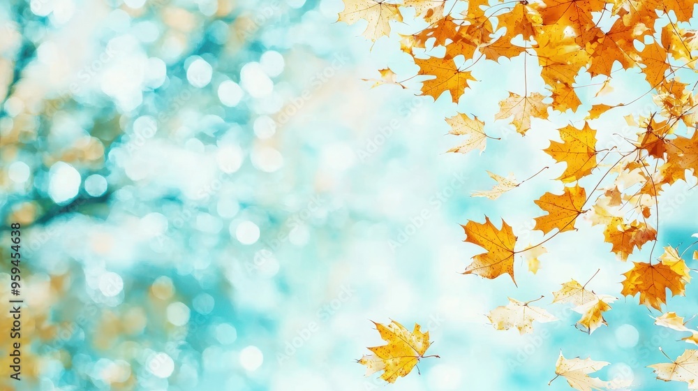 Autumn Leaves Falling on Blue Bokeh Background Autumn Leaves Falling on Blue Bokeh Background