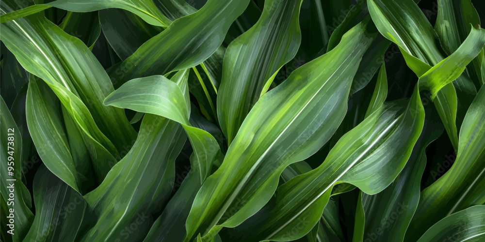 Obraz premium Vibrant green leaves of a plant