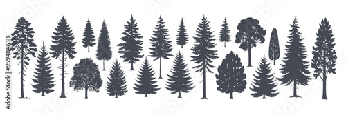 Pine tree silhouettes. Evergreen forest firs and spruces black shapes, wild nature trees templates. Vector illustration woodland trees set on white background