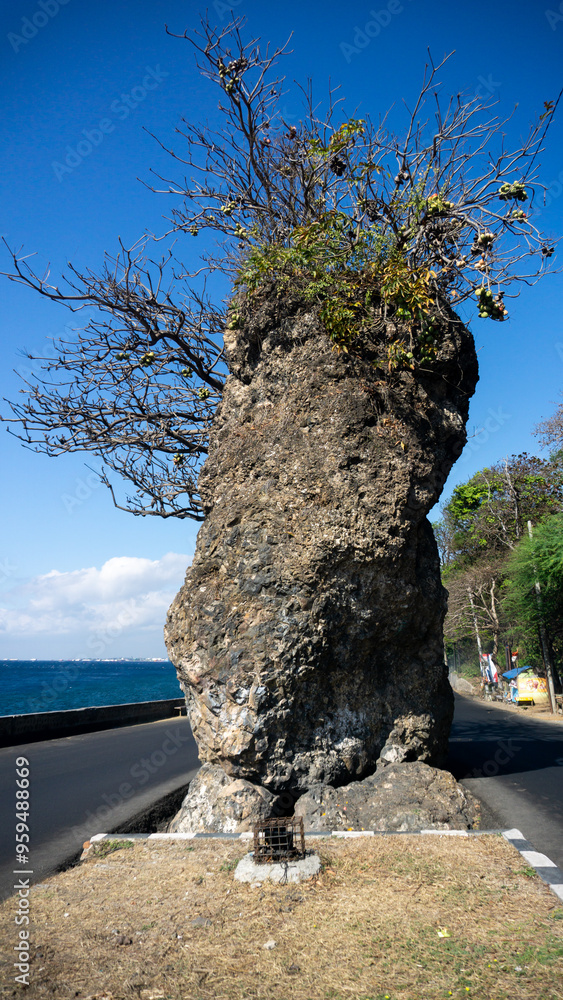 Fototapeta premium Beautiful grand stone and majestic of Watu Dodol at the center of street in Indonesia.