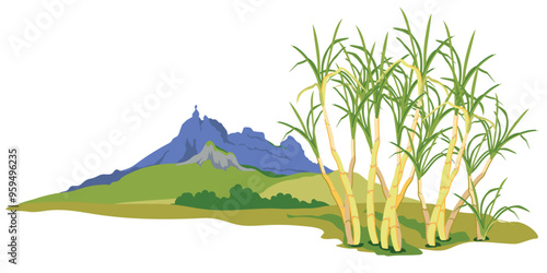 Sugarcane fields with famous Pieter Both mountain in the background. Vector landscape of Moka mountain range, tourist attraction of Mauritius island. Horizontal illustration of landmark in flat style.