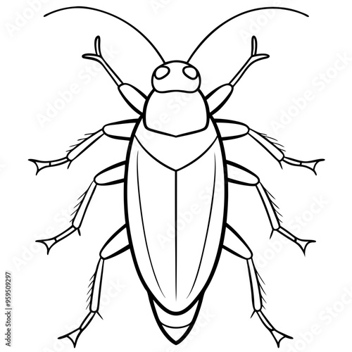 vector illustration of cockroach